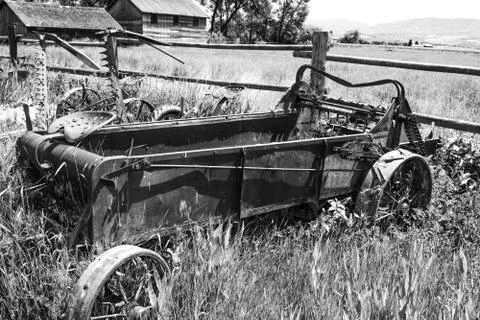 Antique Tractor Stock Photos
