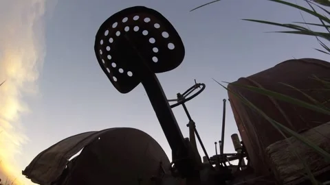 Antique Tractor Sunset Stock Footage 250300966