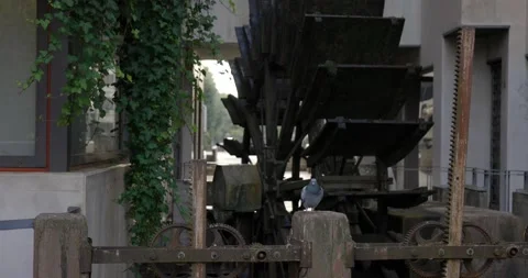 Antique water mill rotating between old buildings in city center slow motion Stock Footage 150154241