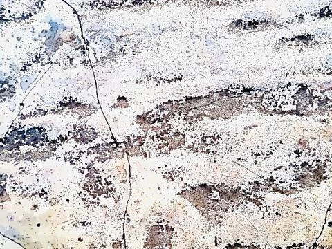 Antique white plaster rough wall texture Abstract cemented wall surface Plast Stock Photos