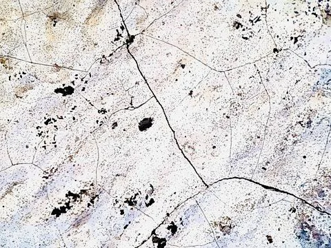 Antique white plaster rough wall texture Abstract cemented wall surface Plast Stock Photos