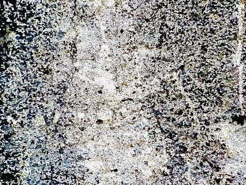 Antique white plaster rough wall texture Abstract cemented wall surface Plast Stock Photos