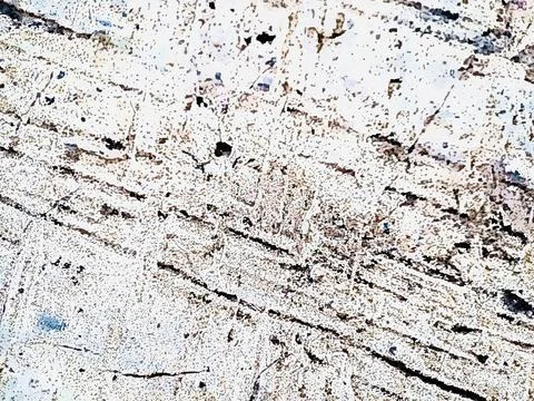 Antique white plaster rough wall texture Abstract cemented wall surface Plast Stock Photos