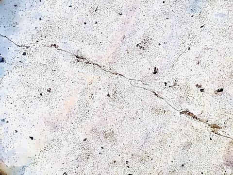 Antique white plaster rough wall texture Abstract cemented wall surface Plast Stock Photos