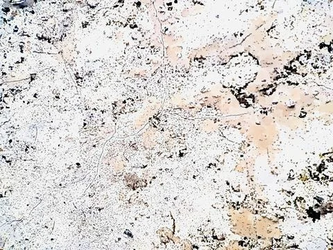 Antique white plaster rough wall texture Abstract cemented wall surface Plast Stock Photos