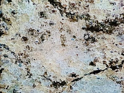 Antique white plaster rough wall texture Abstract cemented wall surface Plast Stock Photos