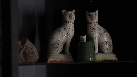 Antiques on a Shelf Stock Footage 169974337