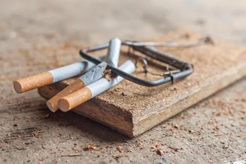 Antismoking background with broken cigarettes in a trap Stock Photos