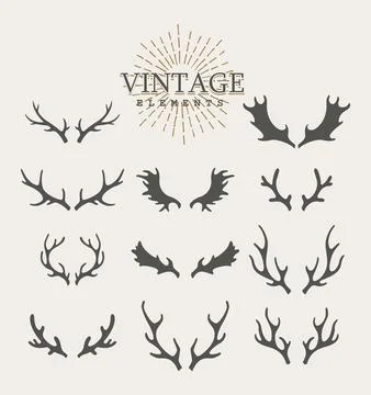 Antlers. Design elements of deer. Set of hand drawn deer horns on the white Stockillustratie