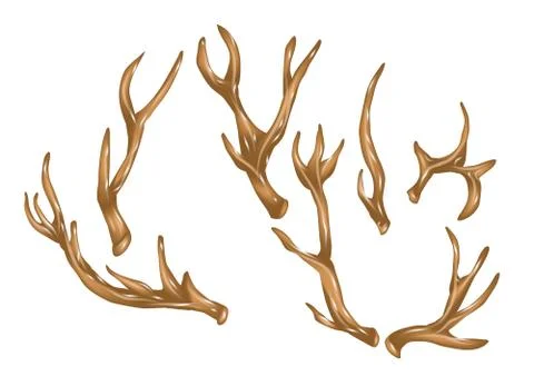 Antlers Stock Illustration