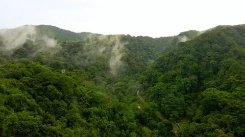 Anton Valley, Panama. Aerial view of a lush forest with a path in the middle. Stock Footage 346501574