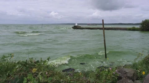 Antrim, Northern Ireland - 3rd August, 2024: Green Blue Algae Blooms 動画素材 280986341