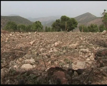 Ants and mountain Stock Footage 517650