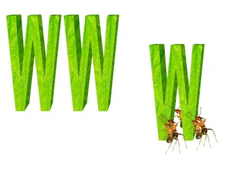 Ants and network Stock-Illustration