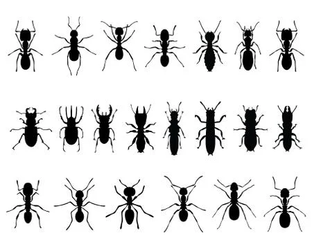 Ants and termites Stock Illustration