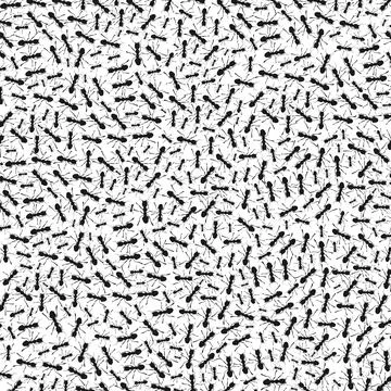 Ants a background Stock Photos