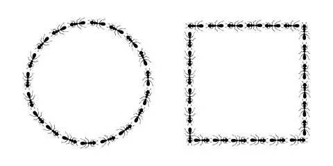 Ants circle and square borders. Ants forming round and rectangular shapes Stock Illustration