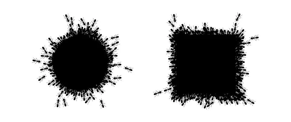 Ants circle and square borders. Ants forming round and rectangular shapes Stock Illustration