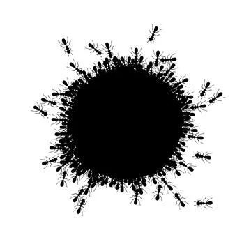 Ants circle border. Ants forming round shape isolated in white background Stock Illustration
