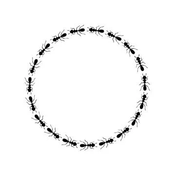 Ants circle border. Ants forming round shape isolated in white background Illustrazione stock