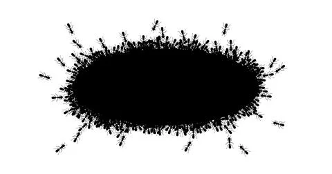 Ants circle border. Ants forming oval shape isolated in white background. Vector Illustration