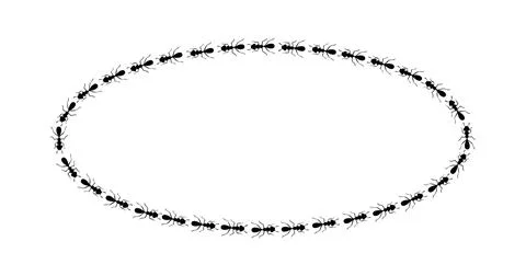 Ants circle border. Ants forming oval shape isolated in white background. Vector Stock Illustration