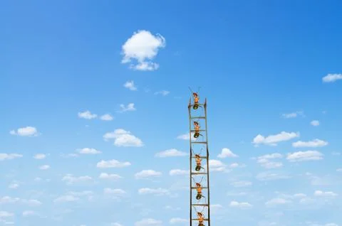 Ants climb Stock Illustration