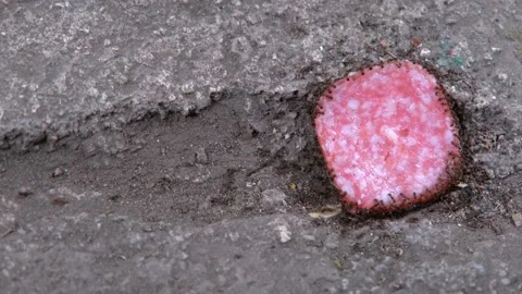 Ants close-up. Ants follow each other. Teamwork of ants Video stock 202114957