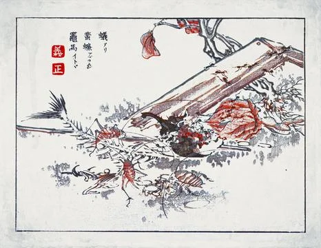 Ants, Cockroach and Camel Crickets  Japanese Art Illustration Stock Illustration