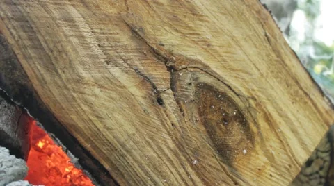 Ants crawl on burning log Stock Footage 40211548