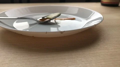 Ants crawl on a white plate Stock Footage 138544010