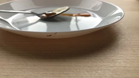 Ants crawl on a white plate Stock Footage 138544063