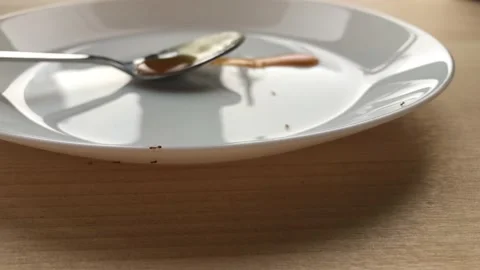 Ants crawl on a white plate Stock Footage 138677162