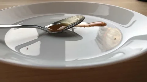 Ants crawl on a white plate Stock Footage 138677289