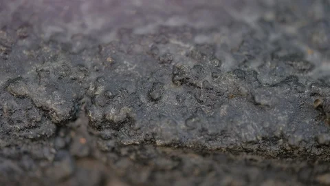 Ants crawling fast on the stone close up micro shot Stock-Footage 108665538