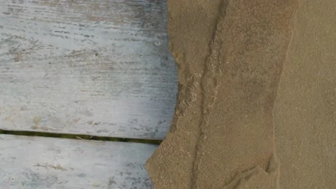 Ants crawling on old planks Stock Footage 137741632