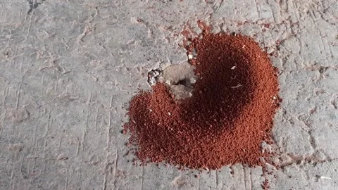 Ants digging holes in the ground Stock Footage 285913240