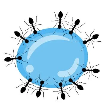 Ants drink nectar Stock Photos