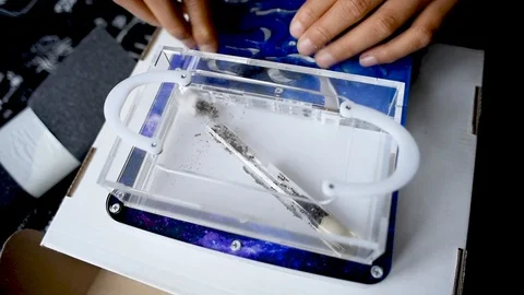 Ants farm Stock Footage 102235888