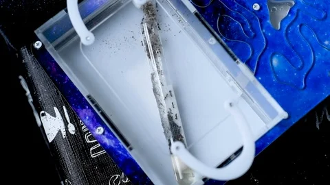 Ants farm Stock Footage 102235889