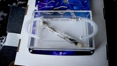 Ants farm Stock Footage 102235891