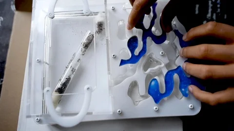 Ants farm Stock Footage 102235892