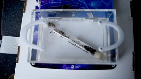 Ants farm Stock Footage 102235894