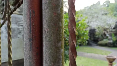 Ants on the fence Stock Footage 154546190