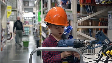 The ants in the flask enter the arena of an ant farm. Settling in a new anthill Stock Footage 176851817