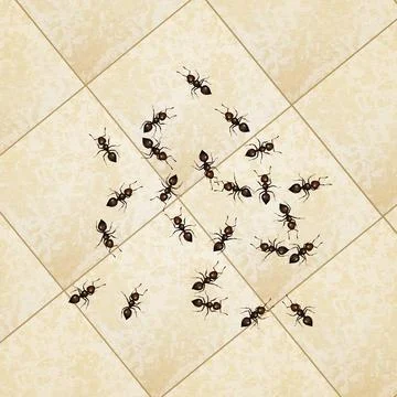 Ants on the floor Illustration