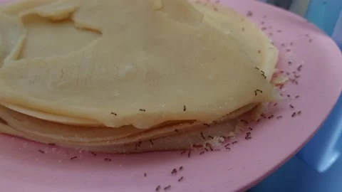 Ants Stock Footage 233098331