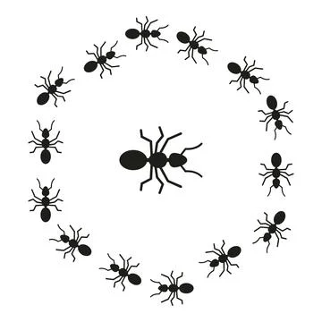 Ants forming conceptual teamwork circle around center ant 스톡 일러스트