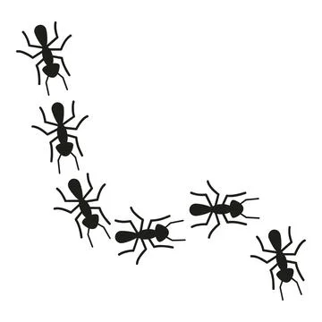 Ants forming a line on a white background Illustration