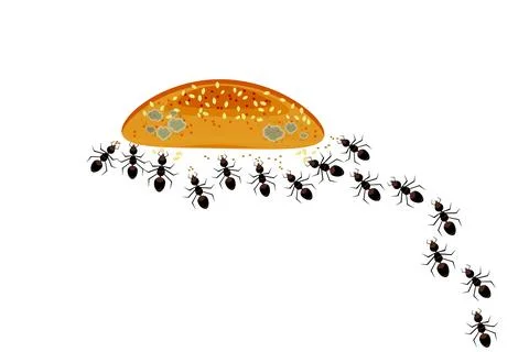 Ants gather around bread, cake, bun or cookies. Ants colony and food. Stock Illustration